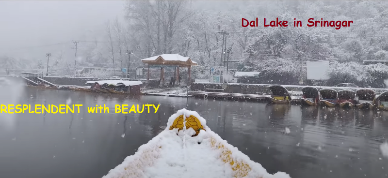 The Warmest Palace on Earth Kashmir 7Days Trip