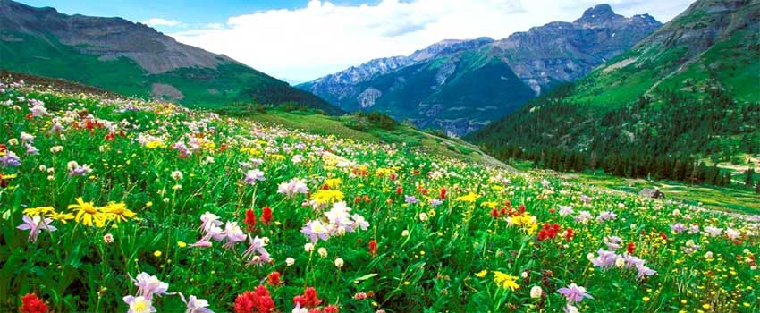 Paradise kasmir Tour Packages