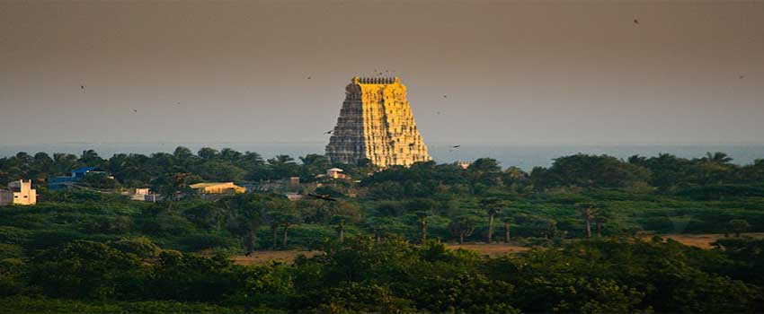 Majestic South India